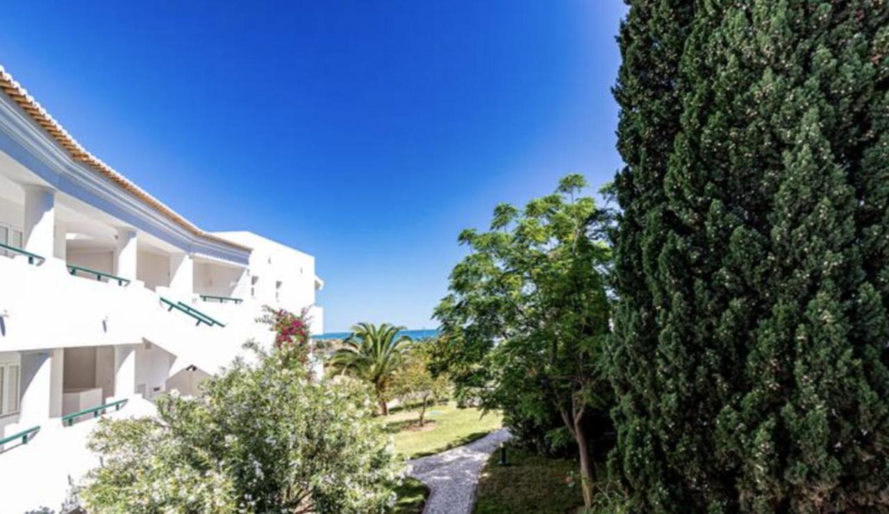 Farol House Holiday home *